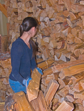 zP1060439 Sara stacks wood split for winter.jpg