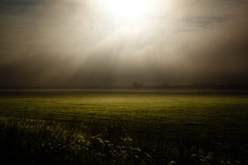 Landscapes: The Netherlands -