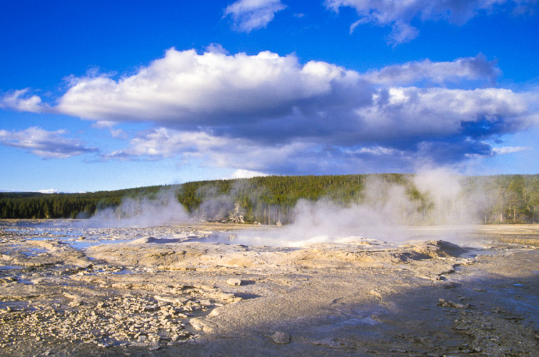 NP4091-2.jpg