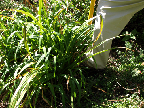 P9252309a.jpg