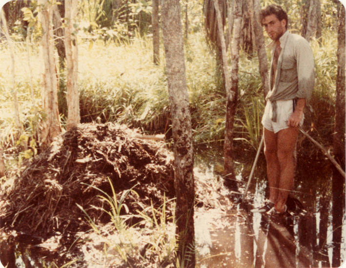 croc nest 2.jpg