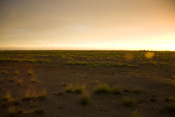 blacksoil plains sunset.jpg