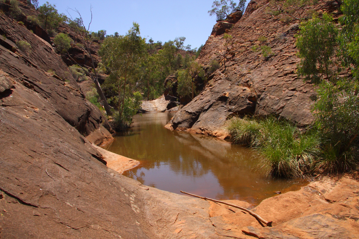 mutamintji waterhole.jpg