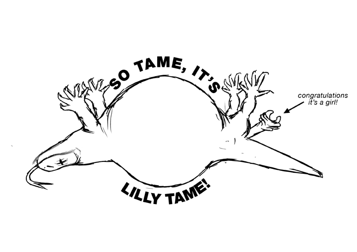 lillytame.jpg