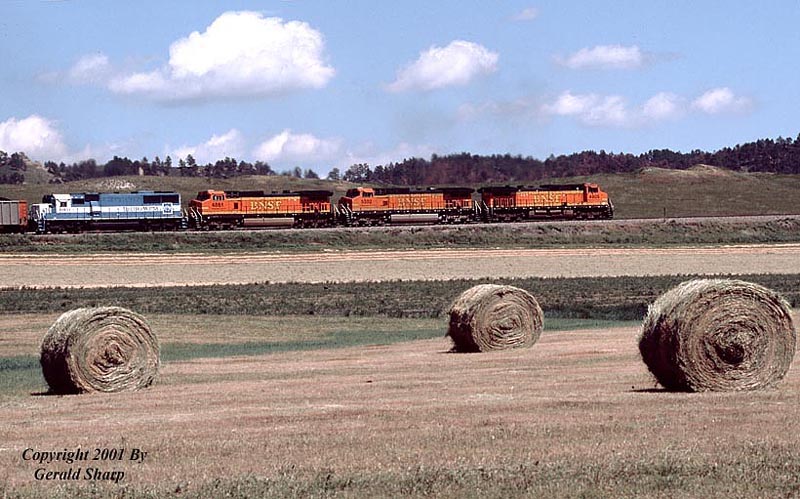 bnsf4905east_on_crawford_hill.jpg photo - Jerry Sharp photos at pbase.com
