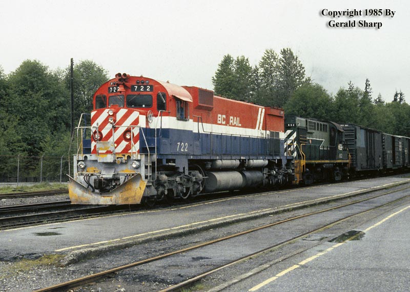 bcratsquam2.jpg
