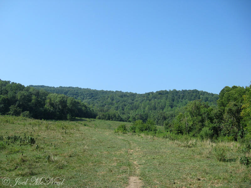 Mountainside pasture