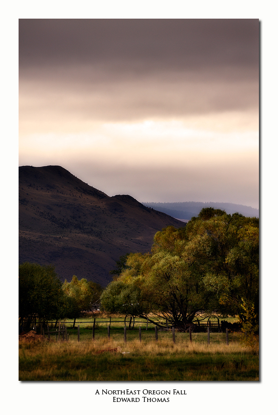 A Northeast Oregon Fall
