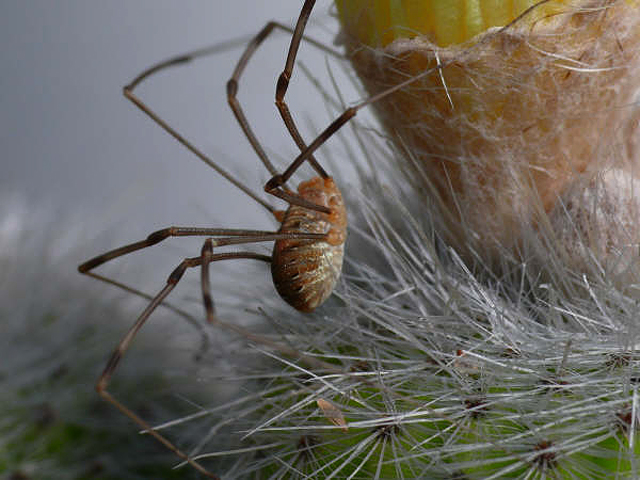aangepJenny2.jpeg.jpg