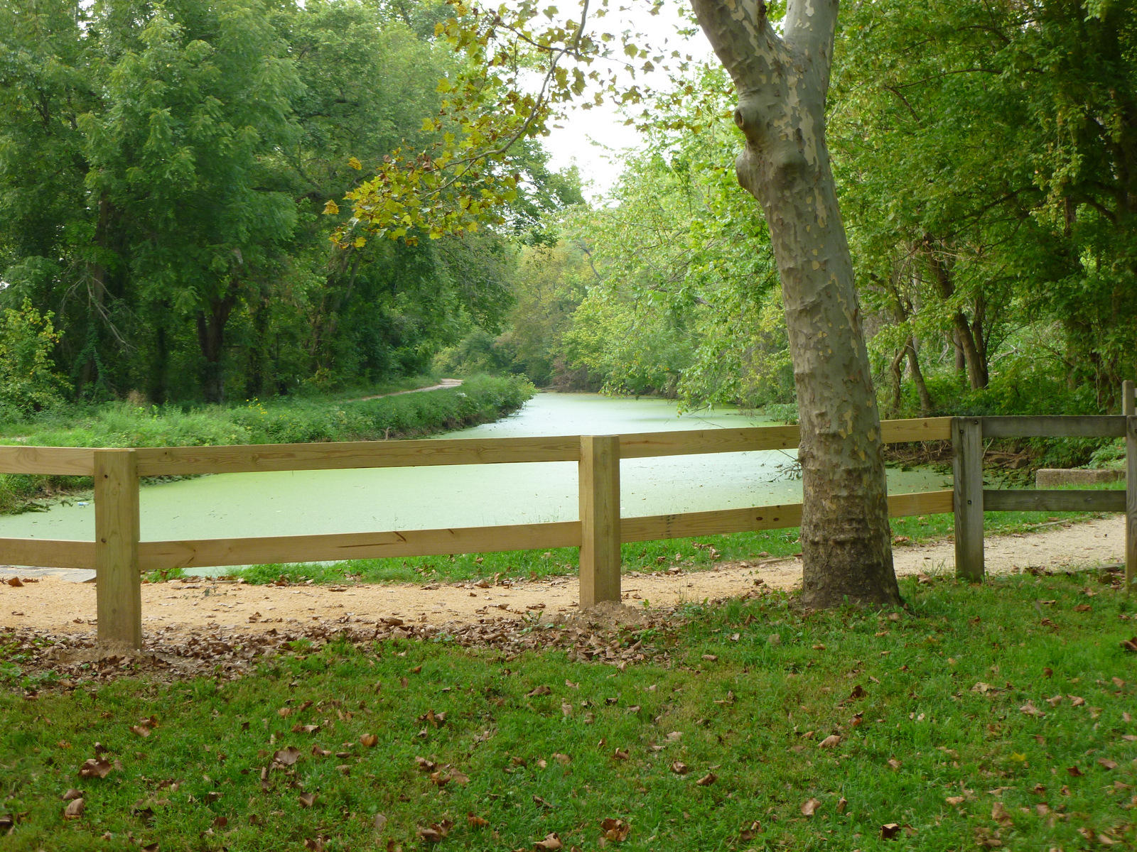 074-P1000157.JPG