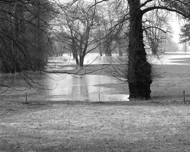Flooding Again