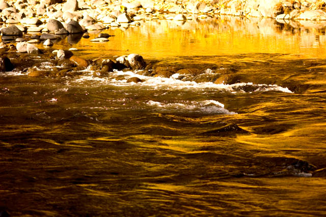 River Of Gold