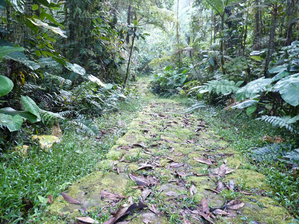 The often slppery Lengerke Trail at Cerulean Warbler Reserve / RNA Reinita Cielo Azul