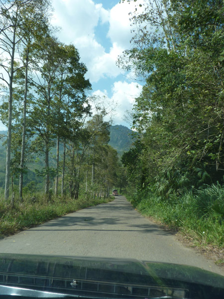 En route to Pauxi Pauxi 3