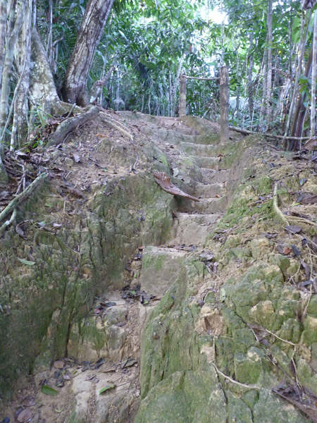 Steps up to Lomo Patico