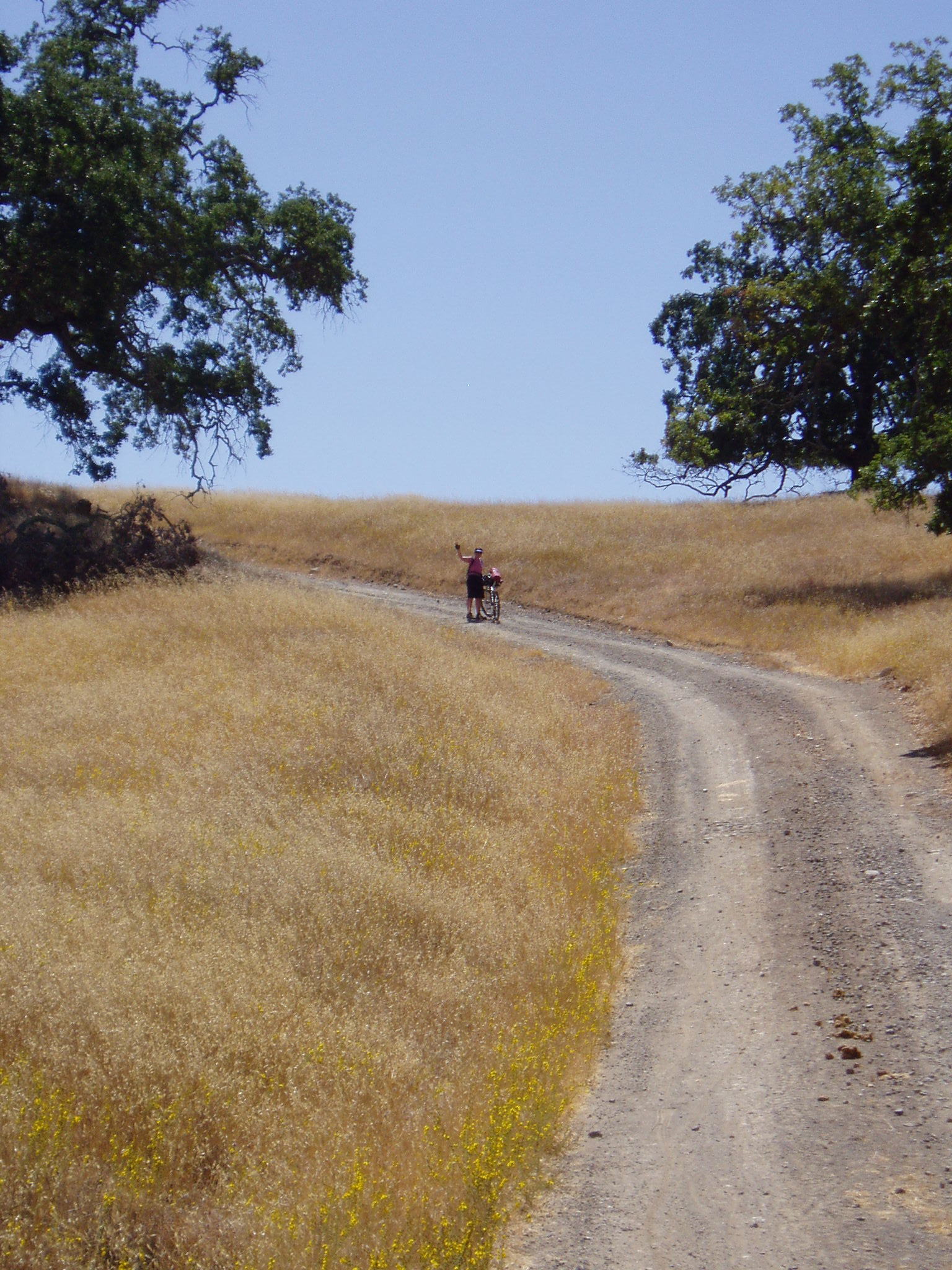 Coit road