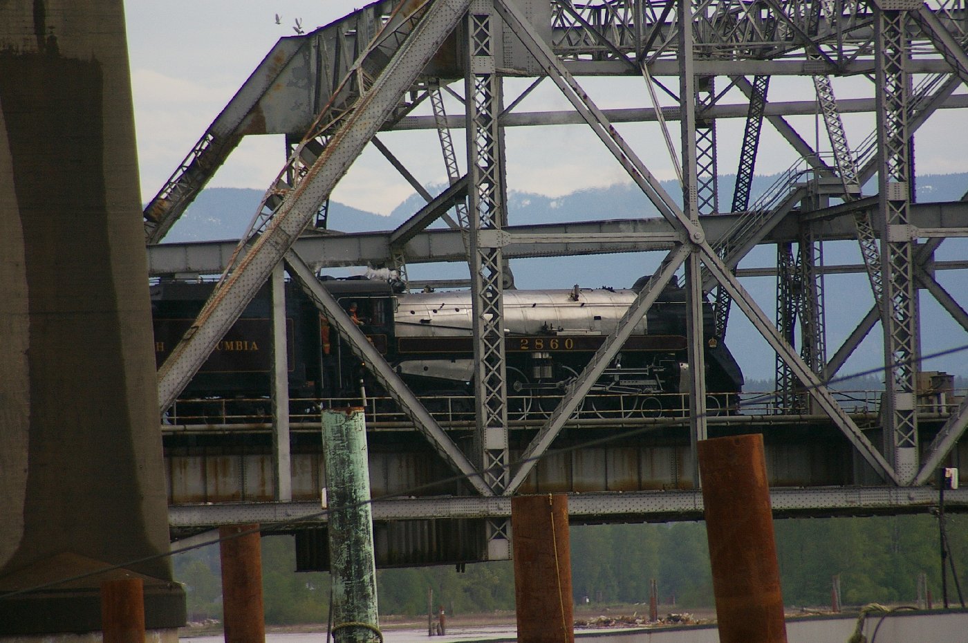 IMGP0408A.jpg