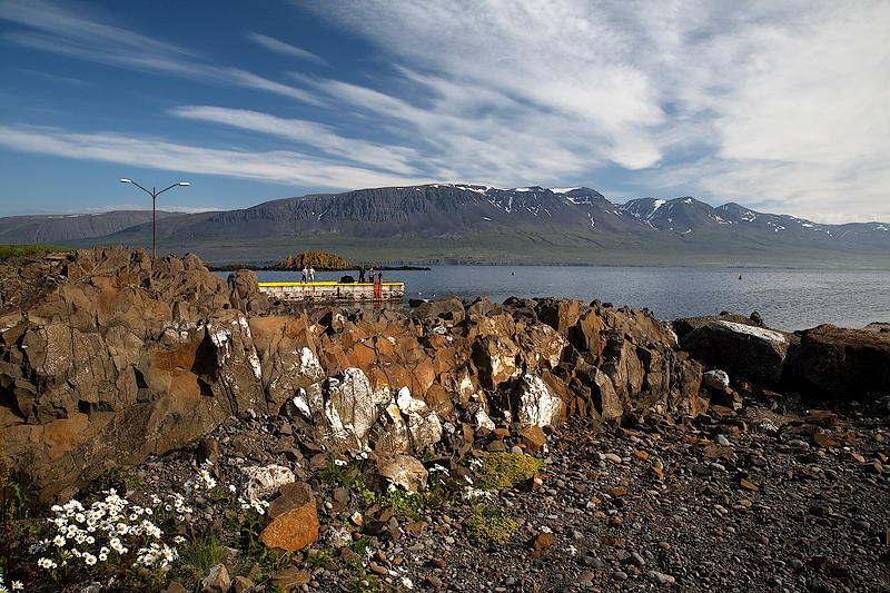 _MG_7385.jpg