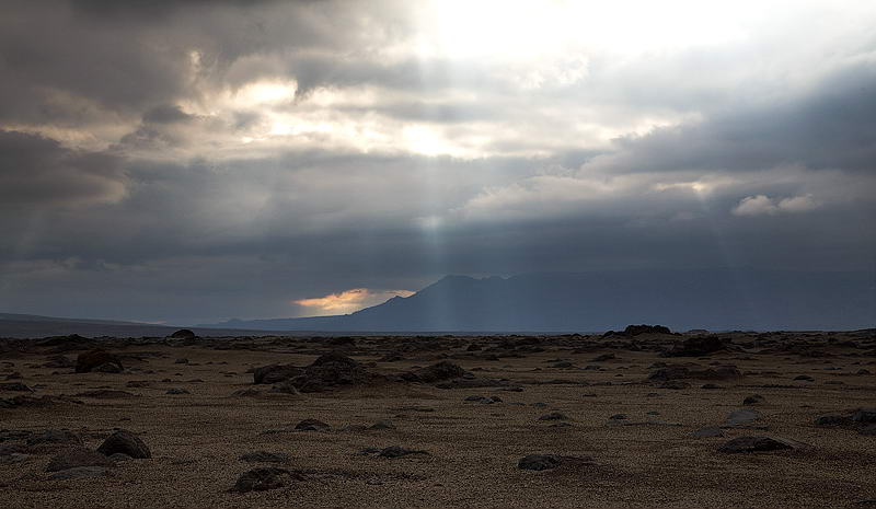 _MG_7724.jpg