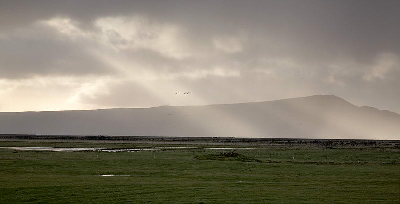 _MG_8906.jpg