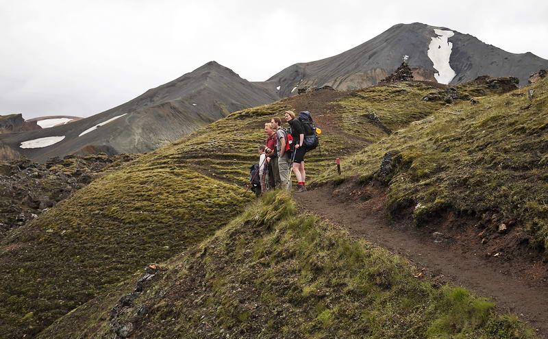 _MG_0826.jpg