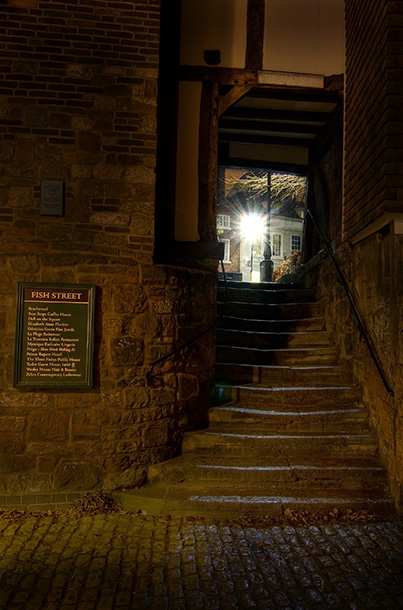 Bear Steps