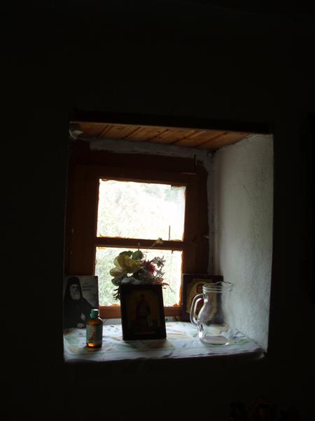 Window