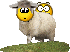 lamsey.gif
