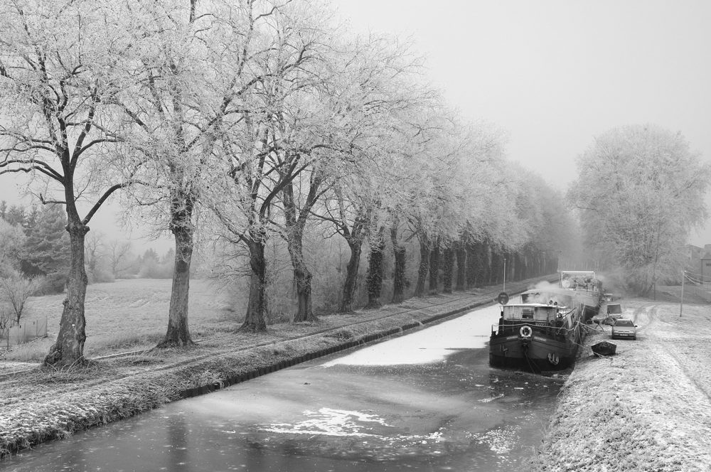 Canal_rhone-rhin