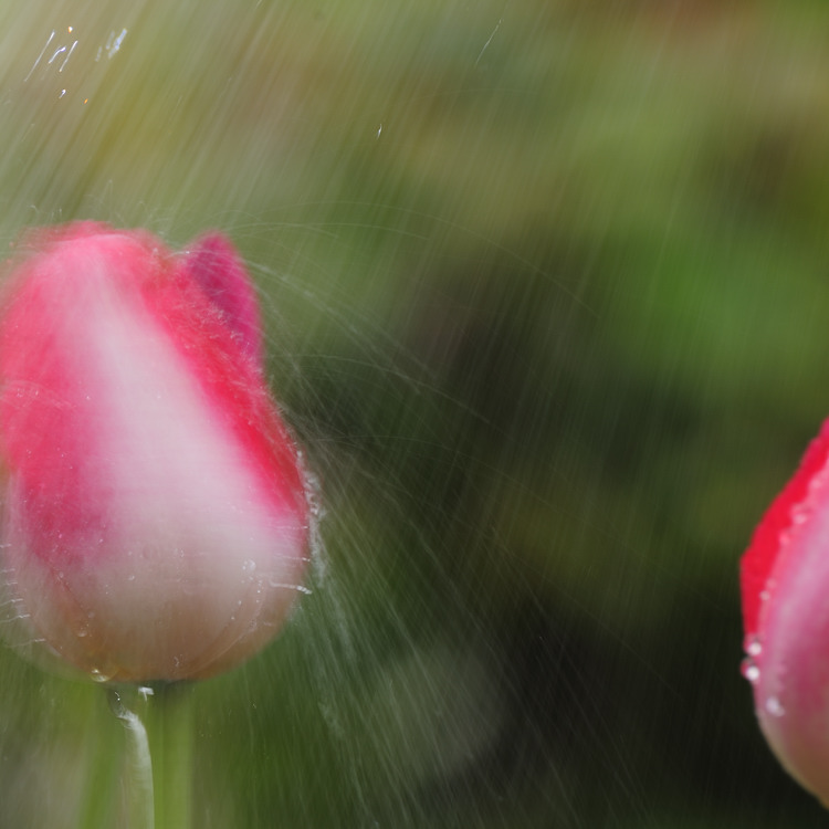rainy day