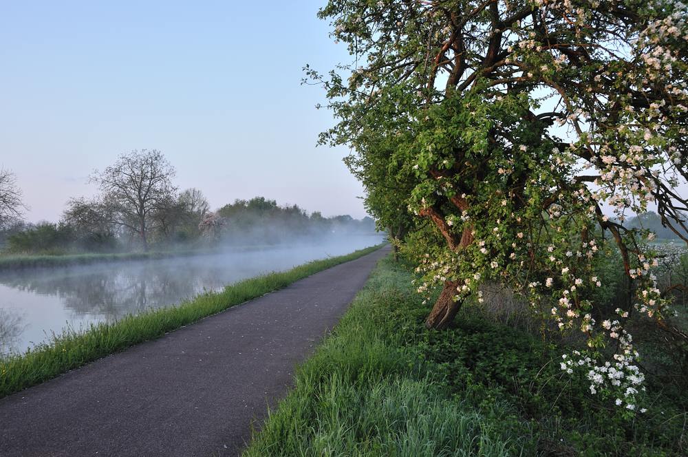 canal au printemps