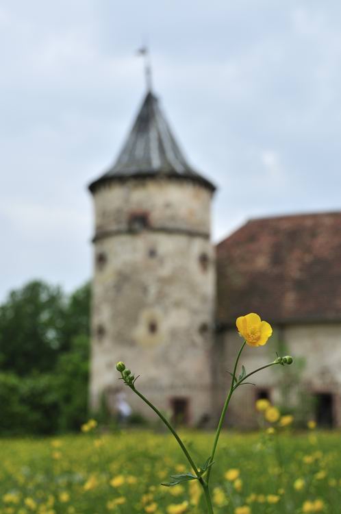 chateau de Thanville  - 31