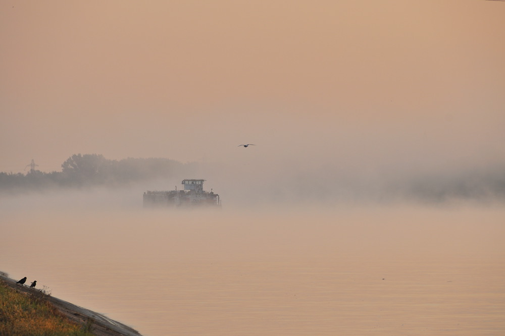 pniche dans la brume (v1)