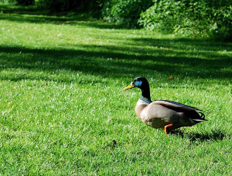DSC_0865.jpg