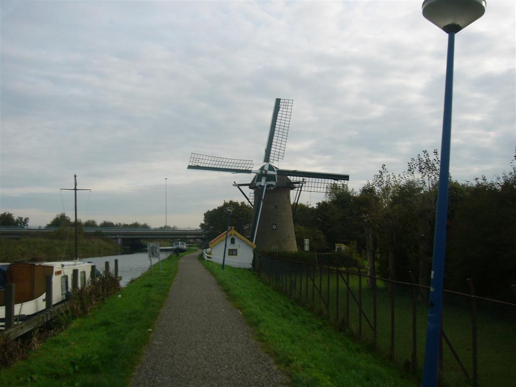molen in Maassluis