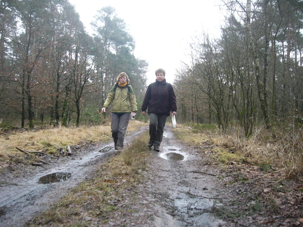 Stakenberger heide