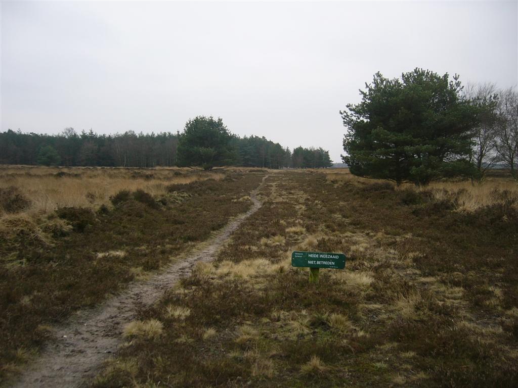 Stakenberger heide