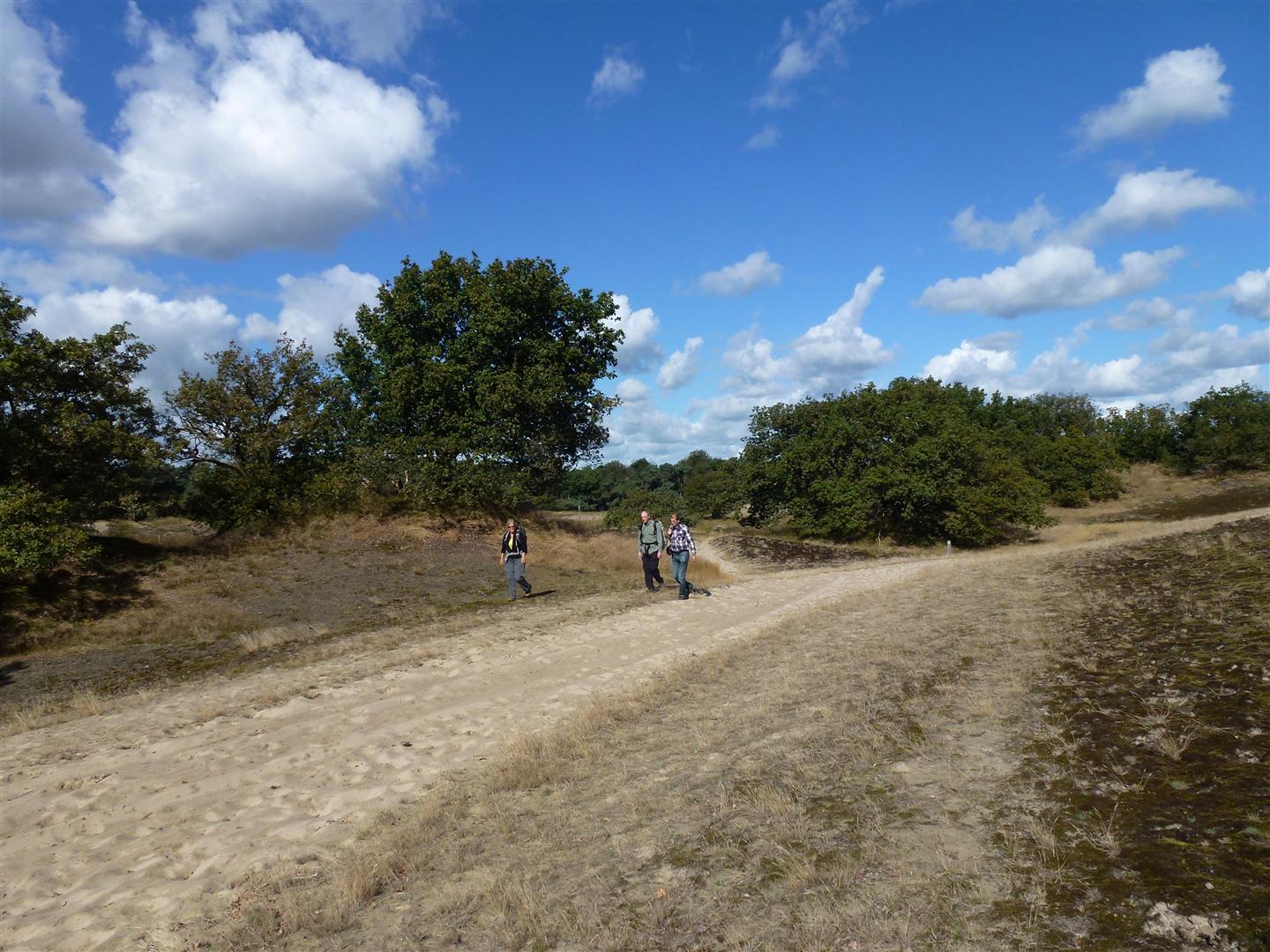 Loonse en Drunense Duinen