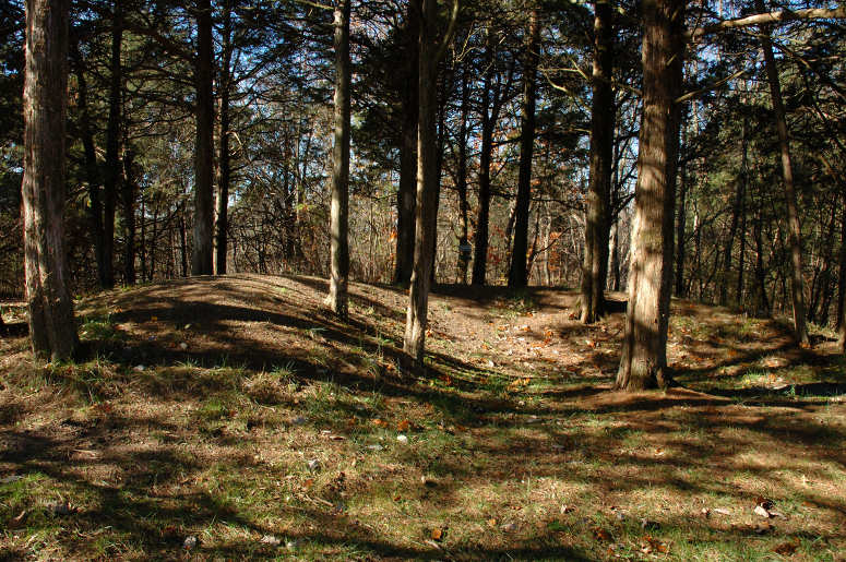 JPG CS 1Earthworks DSC_6420.jpg