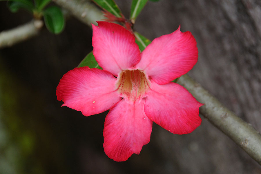 DSC_3738.jpg