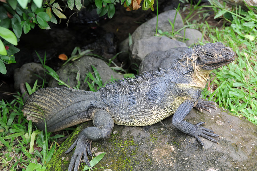 DSC_3698.jpg
