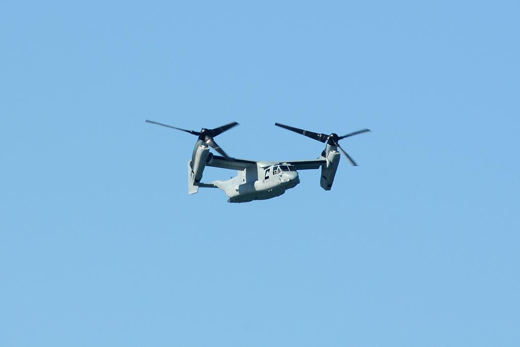 DSC_6913.jpg
