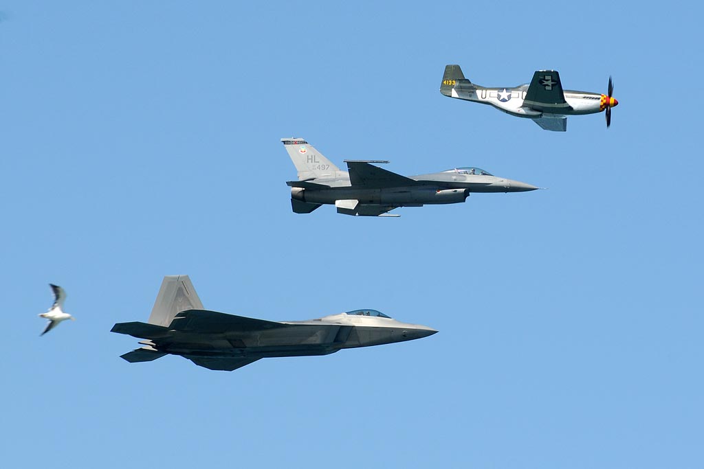 DSC_8039.jpg