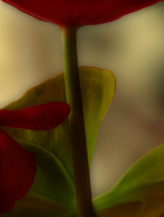 10-Aug