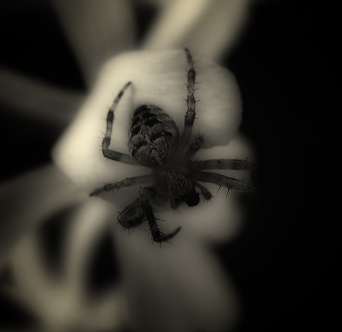 11-Oct