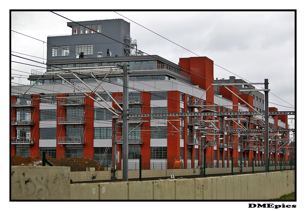 8 maart 2011.jpg