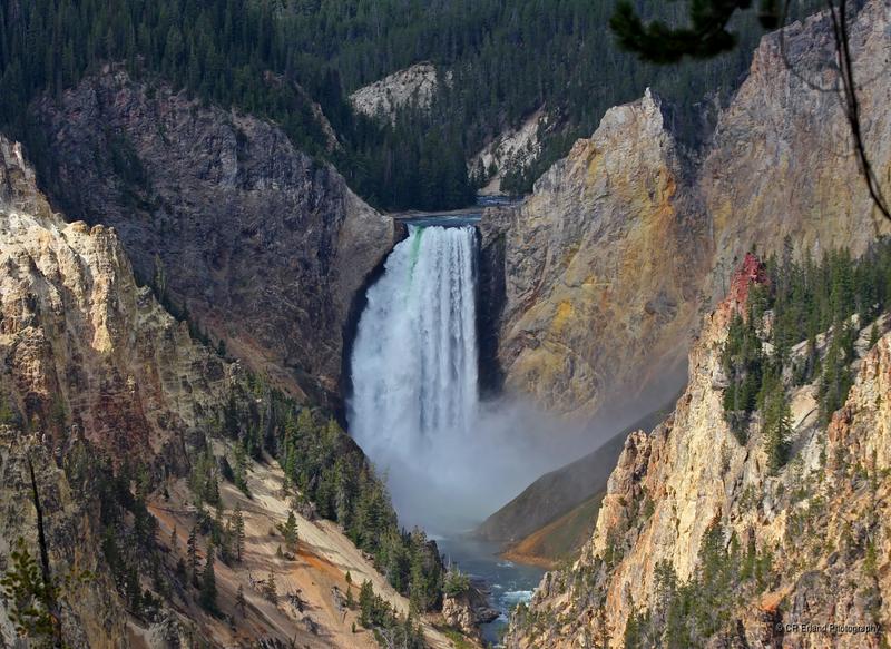 Lower Yellowstone Falls