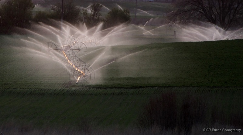 Irrigation