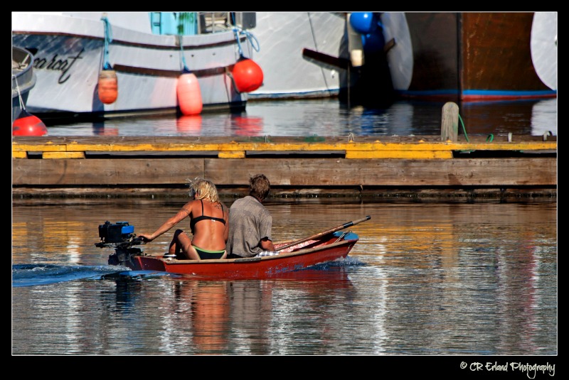 Harbour Tour