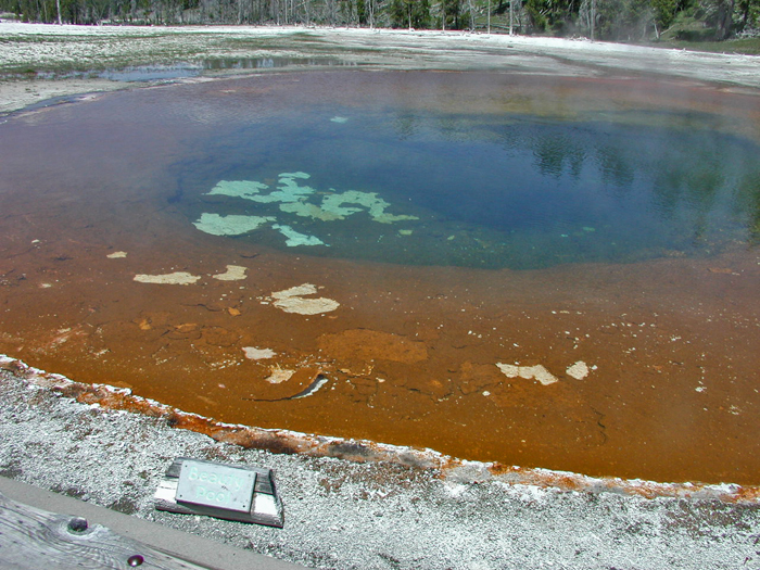 BEAUTY POOL